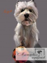 Портрет собаки Цифровая живопись